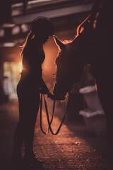 Horse rider and her horse in the stable during sunset. Equestrian theme. - 625587207