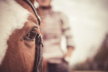 Close-up of a horse's eye. Rider in the background. Horse sports equestrian theme. - 625590450