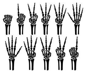 Skeleton bone hand counting number of fingers sign illustrations.