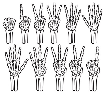 Skeleton bone hand counting number of fingers sign illustrations.