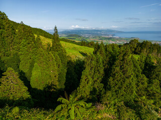 Fototapeta na wymiar Traditional landscape in the Azores, lush green vegetation around. Aerial View. Sao Miguel, Azores, Portugal. 