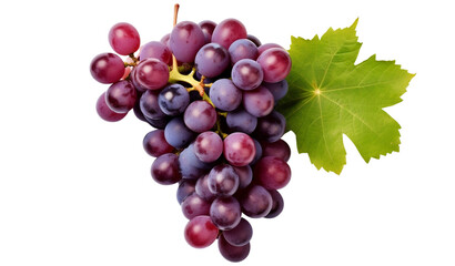 Grapes with grape leaf  - 1