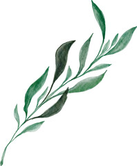 Watercolor green leaves. Design element with floral theme.