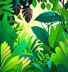 exotic tropical green leaf background beautiful in nature