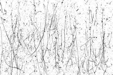 Black paint splatter isolated on white background. Ink overlay texture. Watercolor splash silhouette. Abstract design elements. Vector illustration, EPS 10.