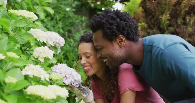 Happy biracial couple gardening together, smelling flowers and laughing