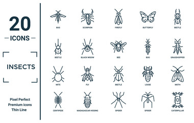 insects linear icon set. includes thin line bug, beetle, mite, centipede, caterpillar, bee, moth icons for report, presentation, diagram, web design © MacroOne
