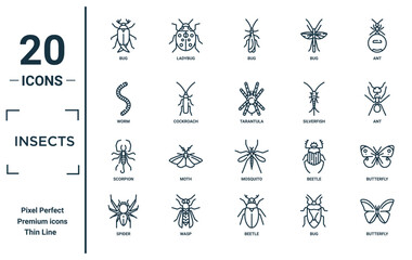 insects linear icon set. includes thin line bug, worm, scorpion, spider, butterfly, tarantula, butterfly icons for report, presentation, diagram, web design