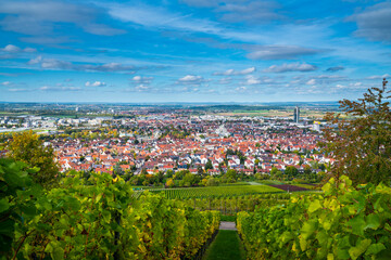 Germany, Fellbach city skyline vineyard panorama view autumn nature landscape above roofs houses tower vineyard at sunset with blue sky and sun