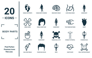 body parts linear icon set. includes thin line human footprints, bones cross, hand finger with a ribbon, male and female gender, skull cartoon variant, human body, standing male icons for report,