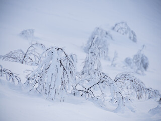 Norway, winter