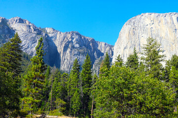 View of the beautiful mountains and green trees in Yosemite Park