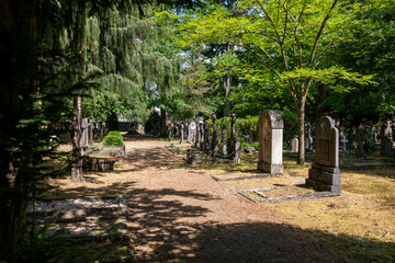 Licht und Schatten zwischen den Grabsteinen auf einem alten Friedhof in Roermond
