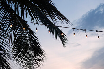 Light Bulbs Garland on Sunset Coconut Palm Tree Silhouette Background
