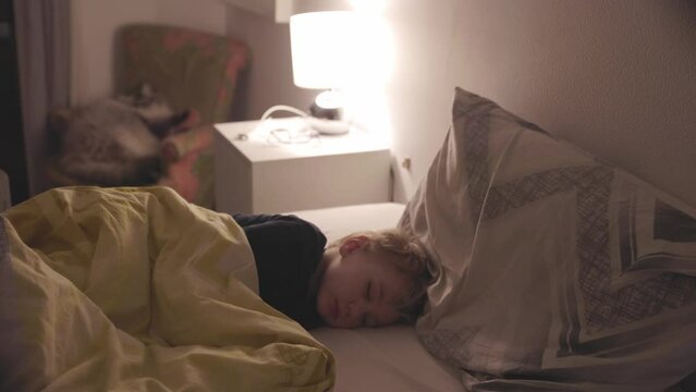 Little boy sleep in bed by light of lamp with cat
