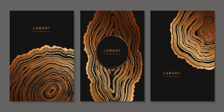 Set of templates. Luxury golden background with wood annual rings texture. Banner with tree ring pattern. Stamp of tree trunk in section. Natural wooden concentric circles. Black and bronze background