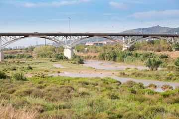 Fototapeta na wymiar Modern bridge with several arches crossing a river