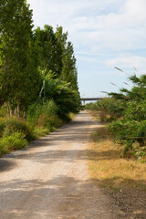 Rural dirt road parallel to the river