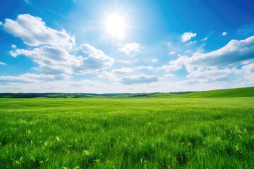 Obraz premium Green grass field and blue sky nature background