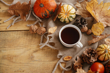 Autumn flat lay. Warm cup of tea, pumpkins, fall leaves, cozy scarf on rustic wooden table with space for text. Hygge fall banner. Happy Thanksgiving