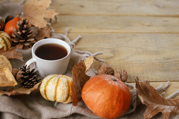 Obraz na płótnie Canvas Autumn rural banner. Warm cup of tea, pumpkins, fall leaves, cozy scarf on rustic wooden table with space for text. Hygge autumn. Happy Thanksgiving. Fall still life