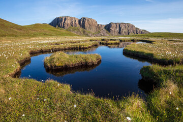 Rubha Hunish Cliffs infront of Water Bog and Cotton Grass, Isle of Skye, Scotland Landscape