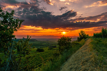 Sonnenuntergang am Kaiserstuhl