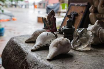 Conch shells and idols of hindu gods and goddess kept in a temple for worship. Conch shells are...
