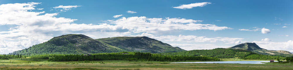 Fototapeta na wymiar Norwegische Landschaft im roindane Nationalpark bei Venabu