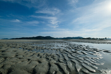 landscape with trace of water 