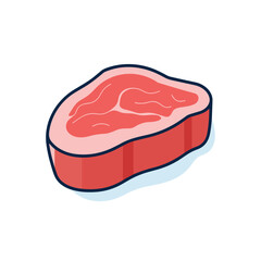 Vector of a raw piece of meat on a plain white background