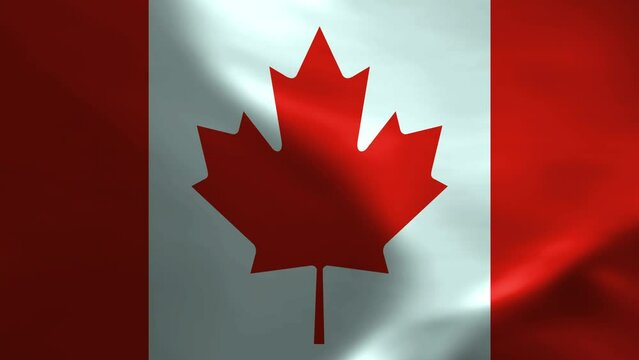 Canada Flag Waving Textile Textured Background. Seamless Loop Animation