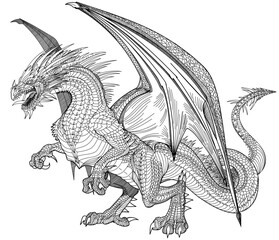 a medieval European dragon standing on its hind legs, angry with open jaws ready to attack, full body, side view. Black and white graphic style vector illustration