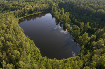 Fototapeta na wymiar Lake in forest, aerial view. Wild pond in forest with fir and pine trees. Wildlife Refuge Wetland Restoration, groundwater. Green Nature Scenery. Freshwater scarcity, Ecosystem. Global drought crisis