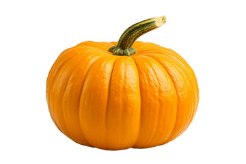 Vegetable Pumpkin on Transparent Background. AI