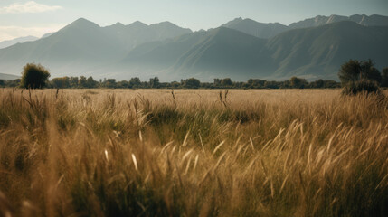 Open field with background mountains.