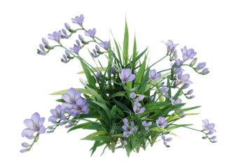 small purple flower bushes and shrub