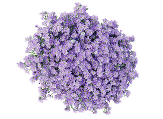 Obraz premium bunch of purple flowers isolated