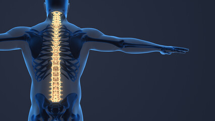 Painful sacral and cervical medical background.