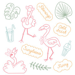 Summer set with cute flamingos and words in dialogue clouds. Doodle color lineart vector illustration.