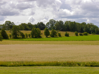 field and blue sky