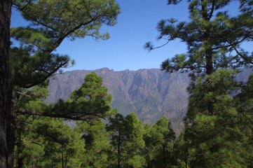 La Palma in der Caldera