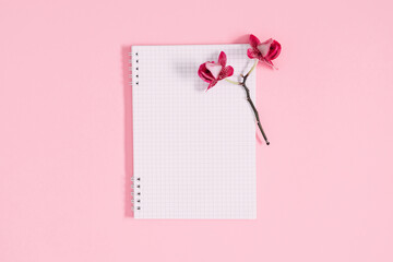 Flat lay, top view of blank open notebook mockup and orchid flowers on pastel pink background