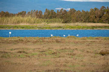 Marceddì, provincia di Oristano, Sardegna