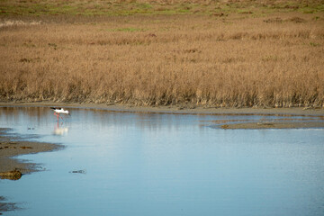 Marceddì, provincia di Oristano, Sardegna