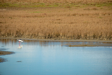 Marceddì, provincia di Oristano, Sardegna