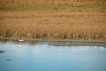 Marceddì, provincia di Oristano, Sardegna
