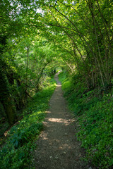 Sentiero dei 18 ponticelli, provincia di Modena, Emilia Romagna