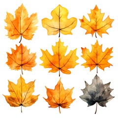Naklejka na ściany i meble Autumn Delights: Watercolor Leaves Drifting on a White Background, Generative AI
