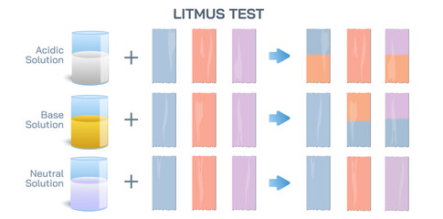 Litmus paper and change in color with reaction with acids vector. Litmus test in chemistry to determine the solution is acidic or basic. General chemistry experiments or exam. Tyeps of paper is dipped